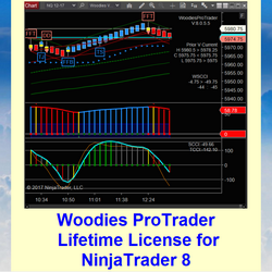Woodies ProTrader Lifetime License